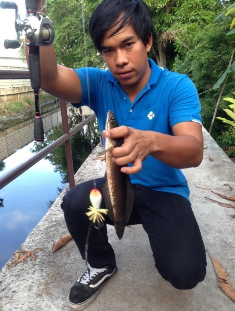 หลังเลิกงานจัดมาสองตัวที่คลองบางพัง
