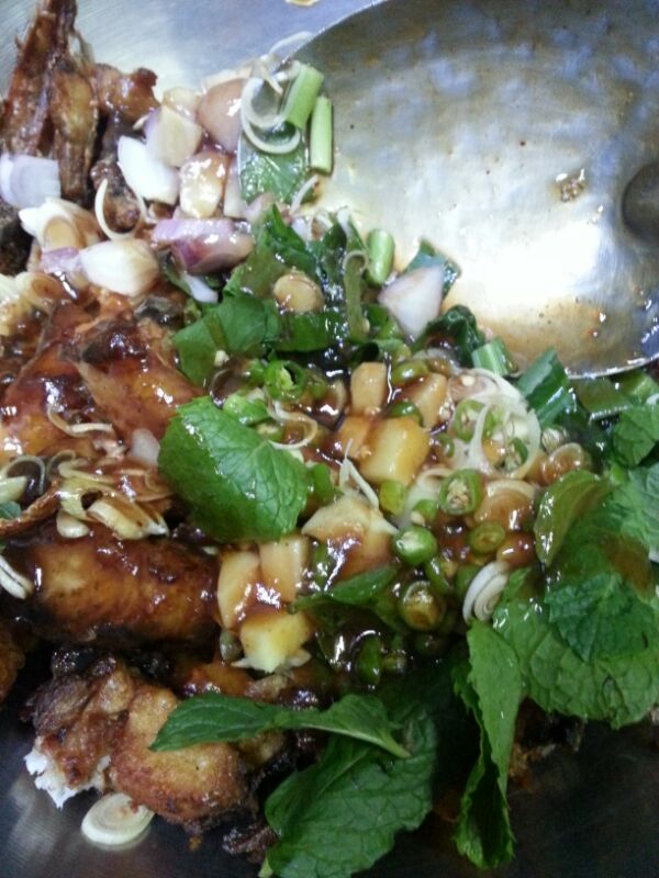 ปลาสมุนไพรครับ
