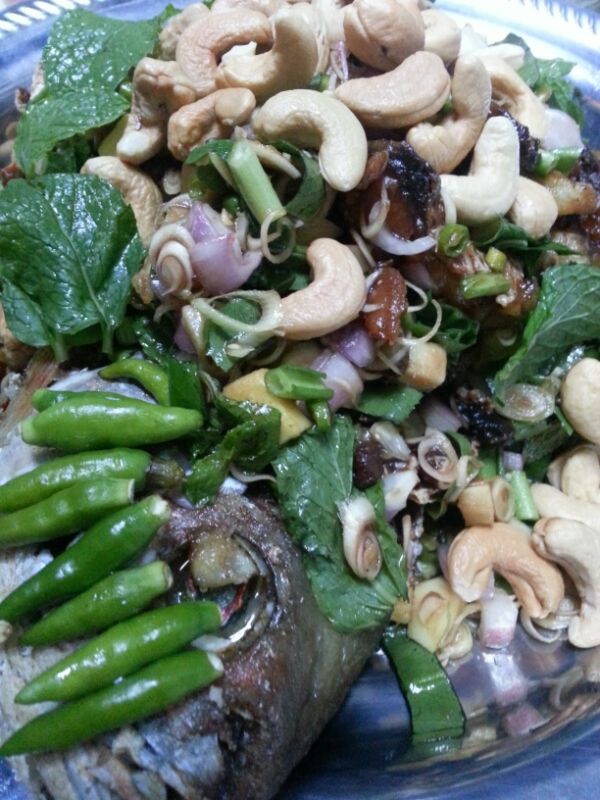 ปลาสมุนไพรครับ