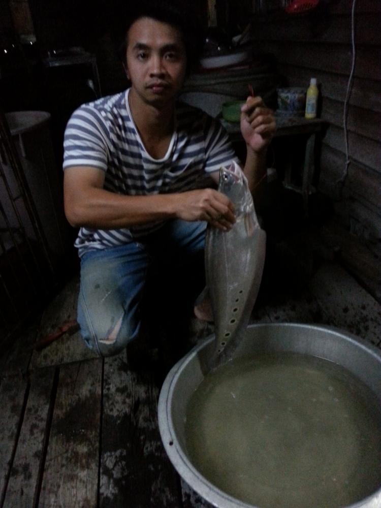 ปลากราย