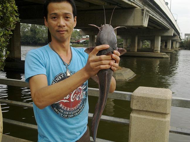ชายแม่น้ำบางปะกง