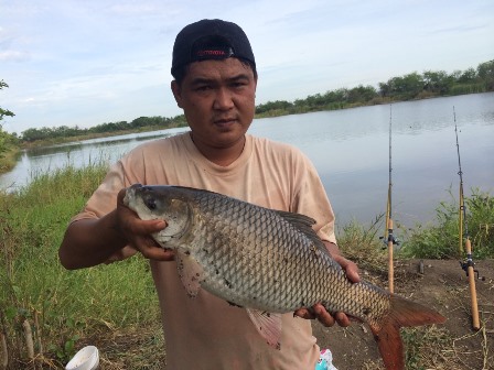 ตกปลาหน้าดิน ณ ปทุมธานี