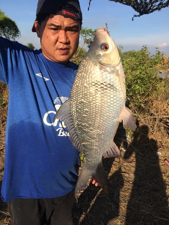 ตกปลาหน้าดิน ณ ปทุมธานี
