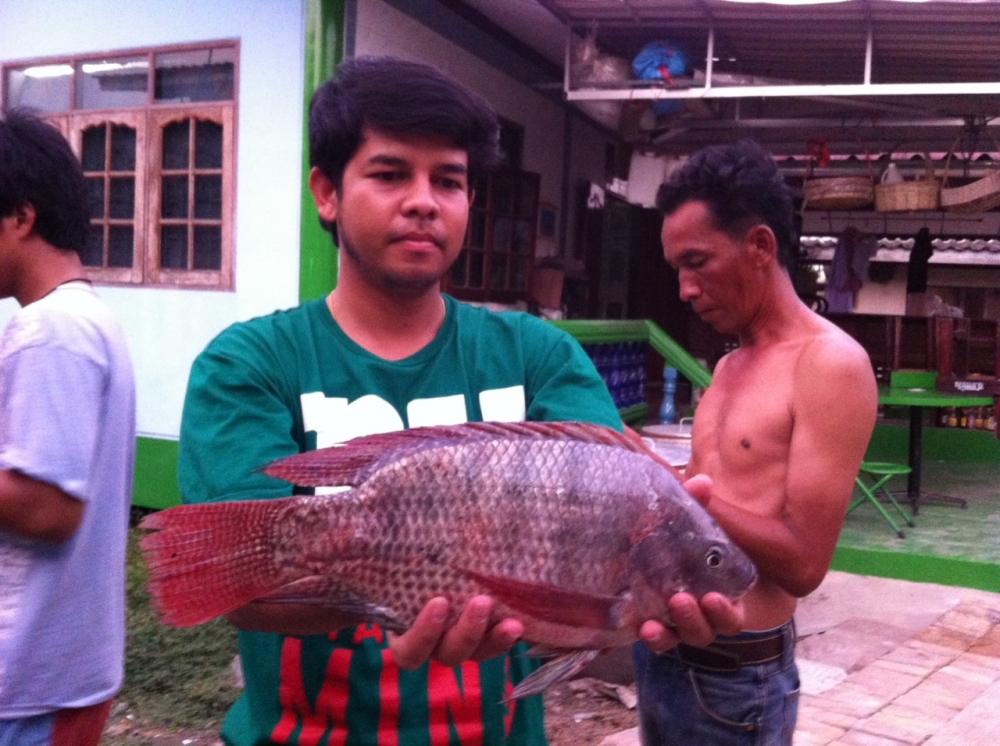 บ่อตกปลาบึงเตยหนองจอก