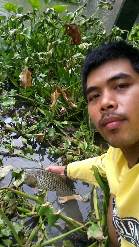 กระสูบเคี่ยวต้องเจอปลายาง