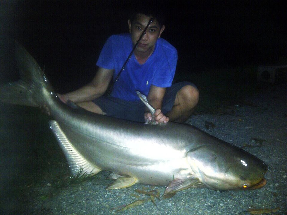 ลุงดอน Fishing