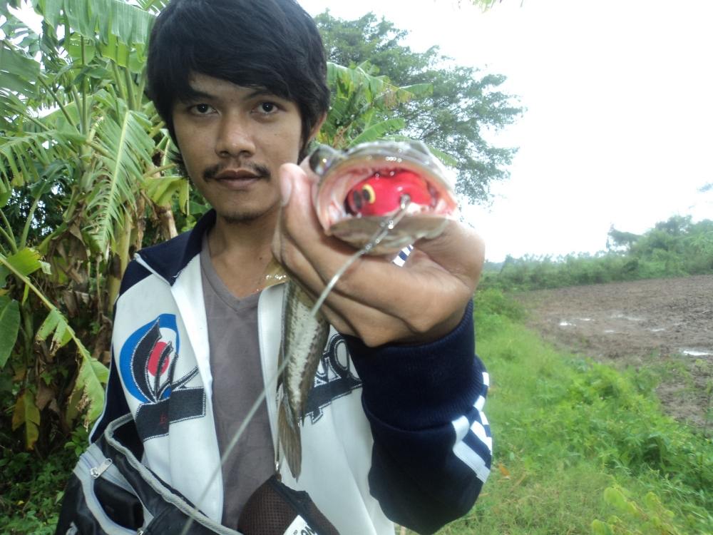 ฟ้าหลังฝน  แต่ฟ้าร้องน่ากลัวต้องกลับก่อน กลัวฟ้าผ่า