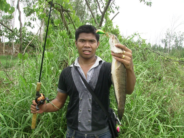 ห่างจากกระสูบ มาลองเท็กซัสดีกว่า