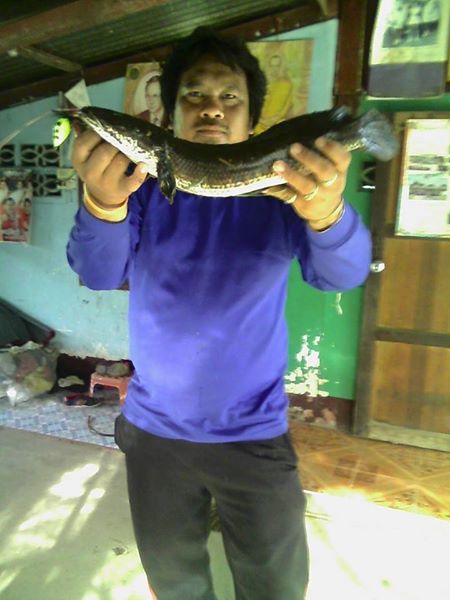 ส่งงาน หยดน้ำ"ตราเป็ด"