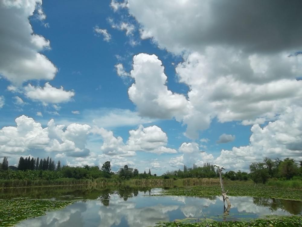 ทริปหนองปืนแตก แก่งกระจาน 5.00 am 14.00 pm เล่นชะโด 4 ช่อน1 มันมาก ร้อนมาก..555