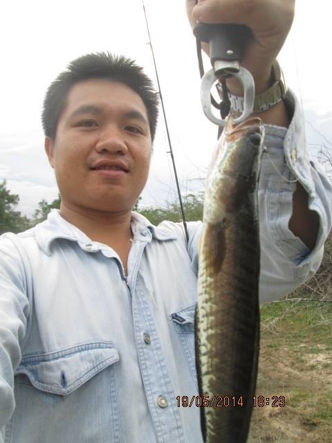 ส่งงานกบยางเกวลินกับช่อนชะอำเพรชบุรี