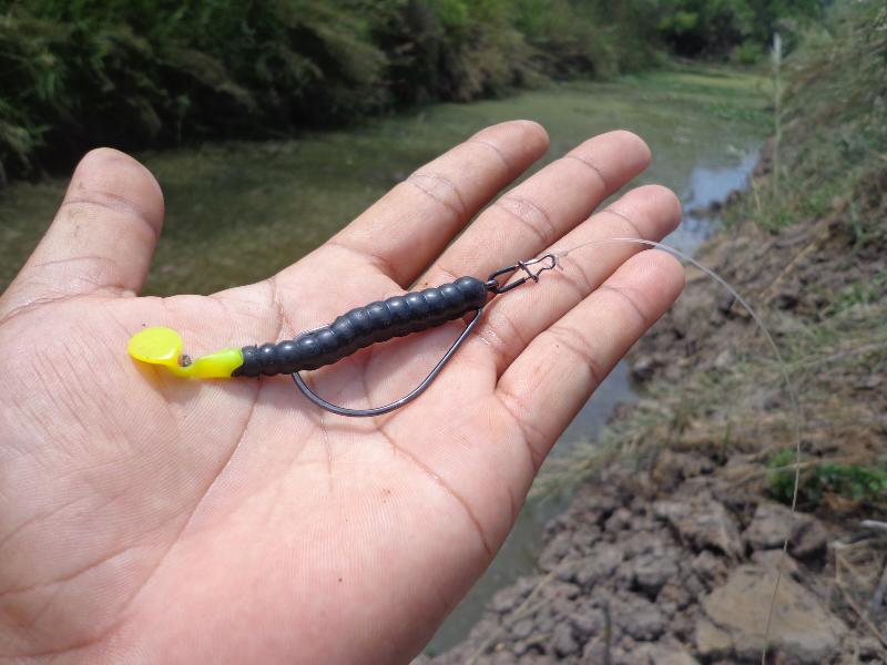 จากกบสู่หนอน..กับ "Mustad titans and Mustad untrapoint" 