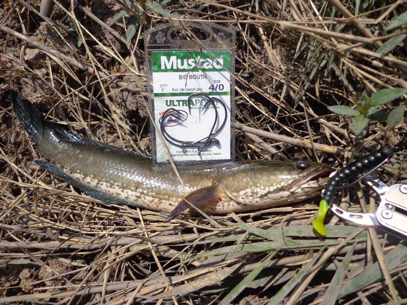 จากกบสู่หนอน..กับ "Mustad titans and Mustad untrapoint" 