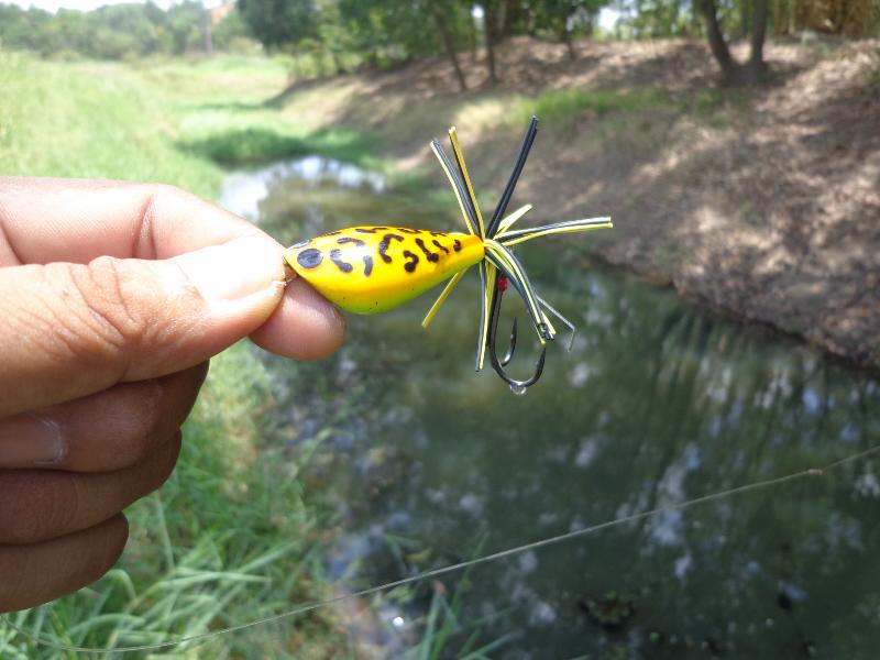 จากกบสู่หนอน..กับ "Mustad titans and Mustad untrapoint" 