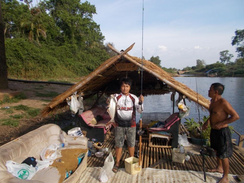 ชะโด ใหญ่  เพื่อนแพ คลองสัมพันธ์   ปราจีนบุรี   