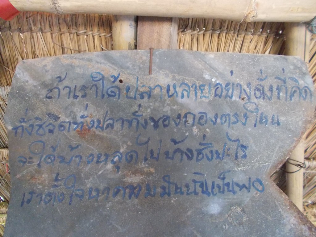 ชะโด ใหญ่  เพื่อนแพ คลองสัมพันธ์   ปราจีนบุรี   