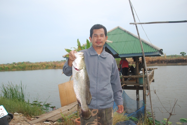 บ่อตกปลาหนุ่มบางวัว (บ่อปลารวม) วันที่ 24,25 - 05 - 57