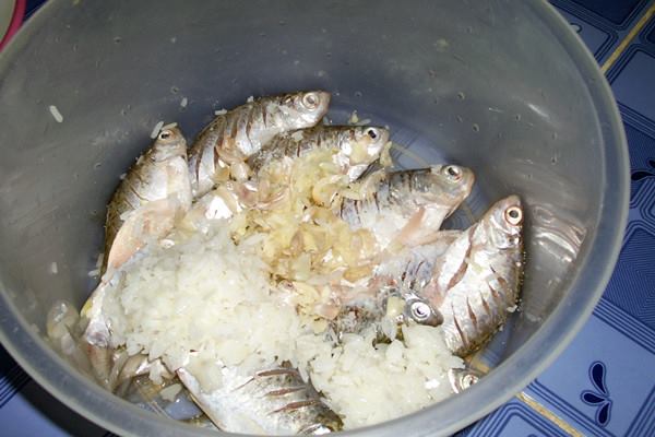 ปลาส้ม ปลาหมักภูมิปัญญาไทย
