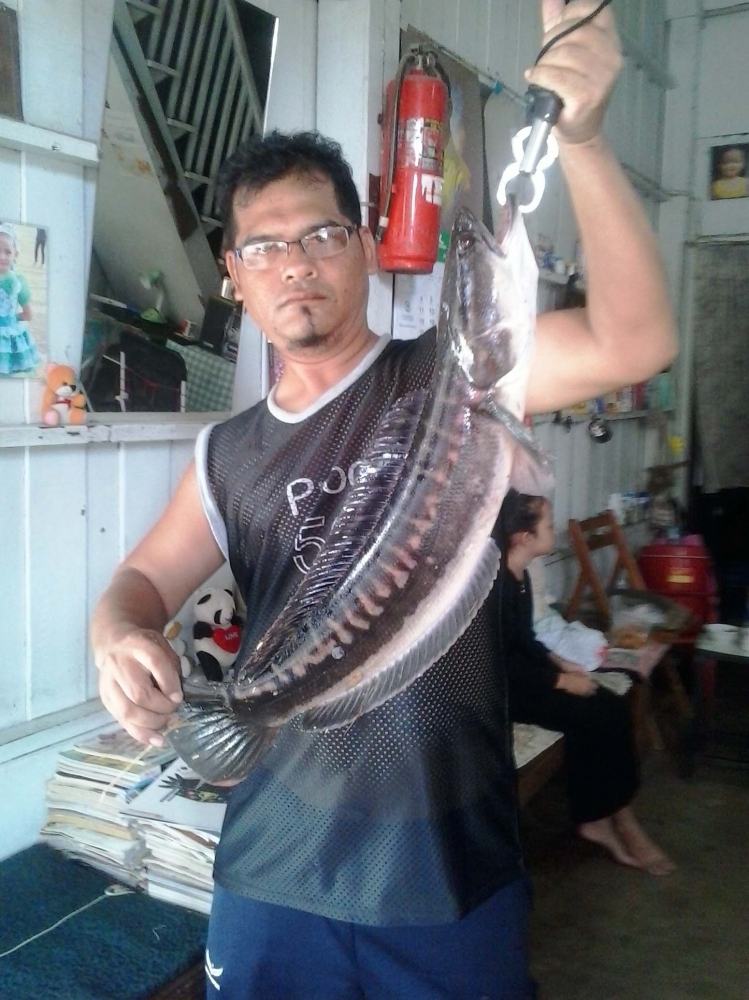 ไซ้ใหญ่ตามสัญญา