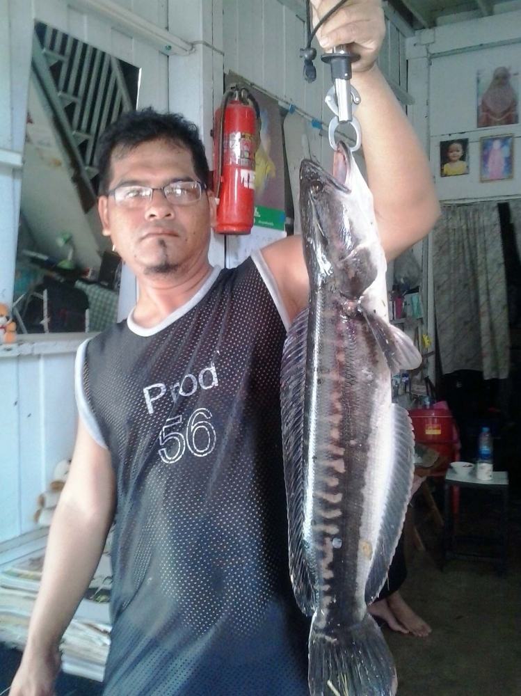 ไซ้ใหญ่ตามสัญญา