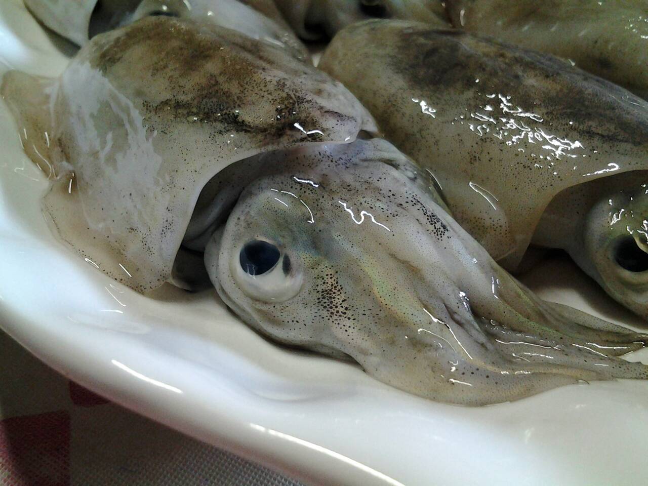ปลาหมึกกระดองน้อยผัดพริกแกงใต้ใส่ลูกเหลียง