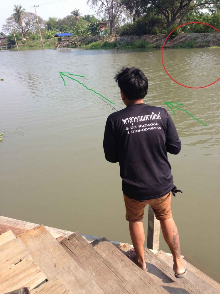 ตกชะโดคลองน้ำไหล