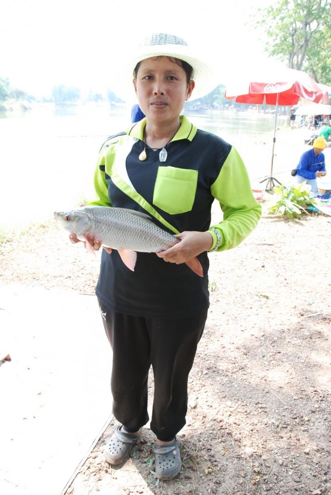 บึงบอน อุตรดิตถ์ วันที่ 8 และ 29 มิถุนายน 2557 นี้