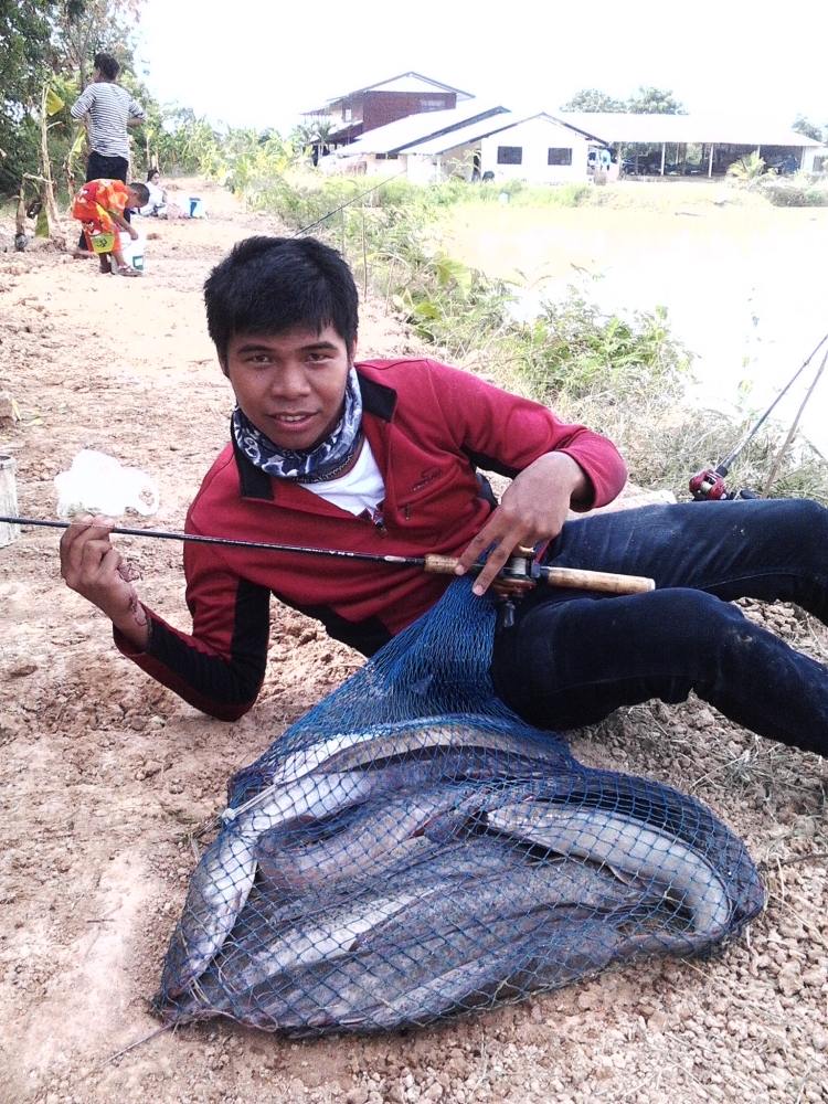 เดินหนอนปลาดุก  มันหยด