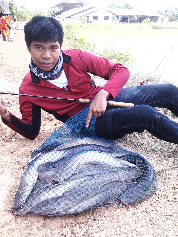 เดินหนอนปลาดุก  มันหยด