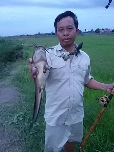 ราชาหน้าดิน...