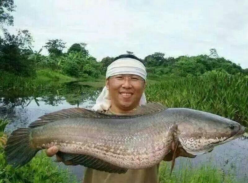 มากัดเราซักดอกจะไม่ลืมเลยจริงๆ