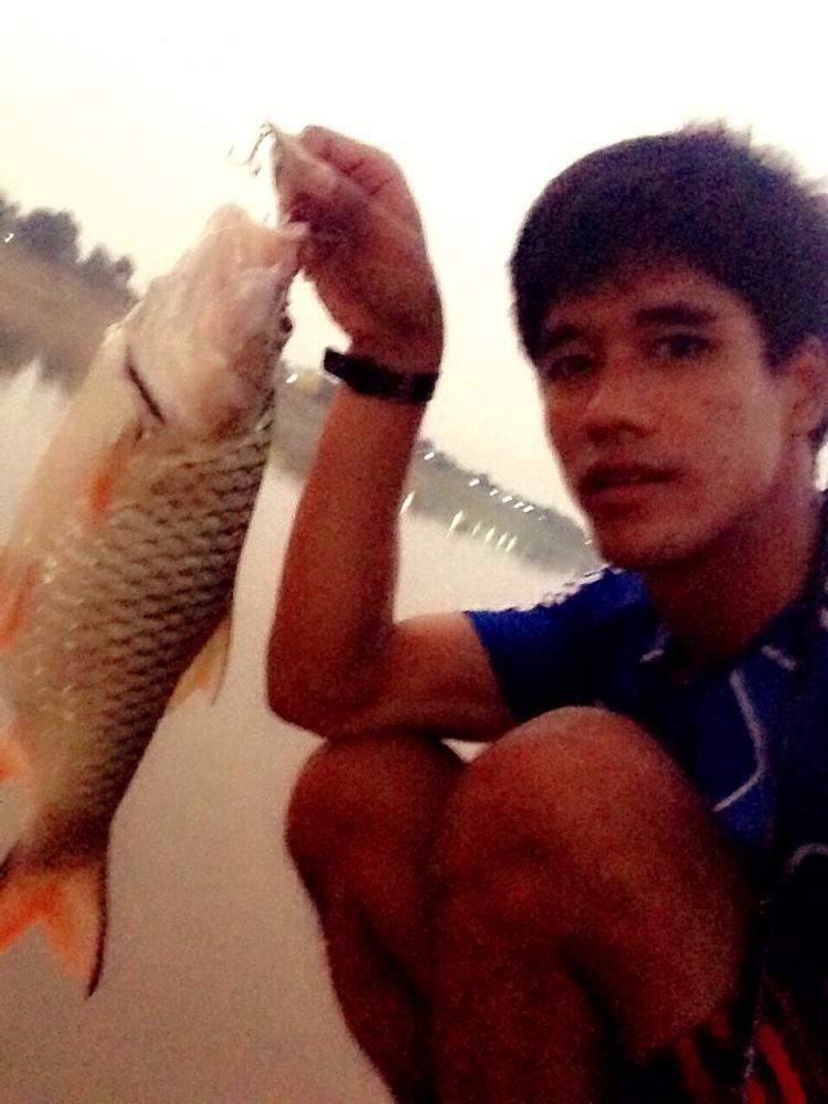 ปลาเบี้ยว..อยุธยา