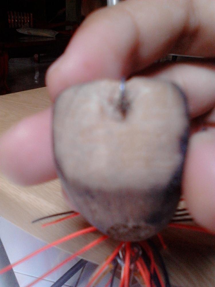 มือใหม่ กบกระโดด