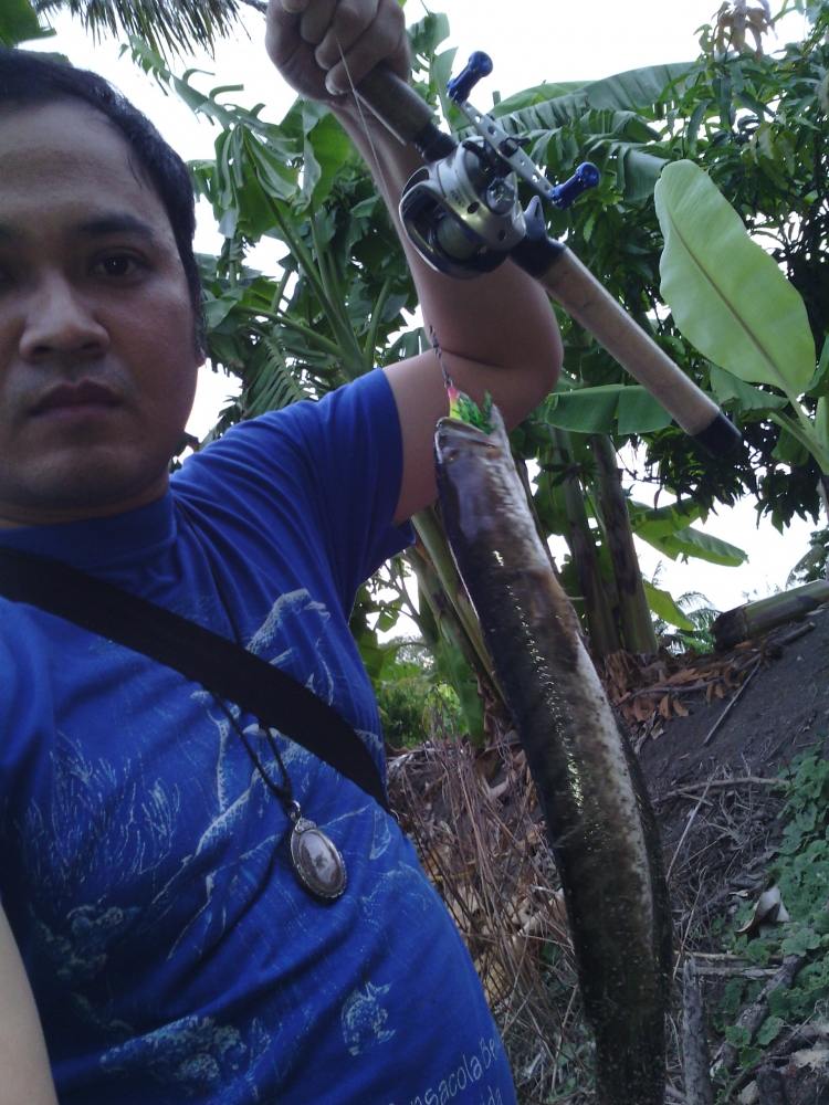 ลองส่งคับ