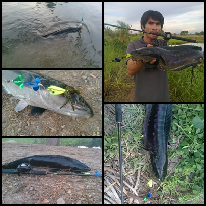 ส่งบ้างนะ