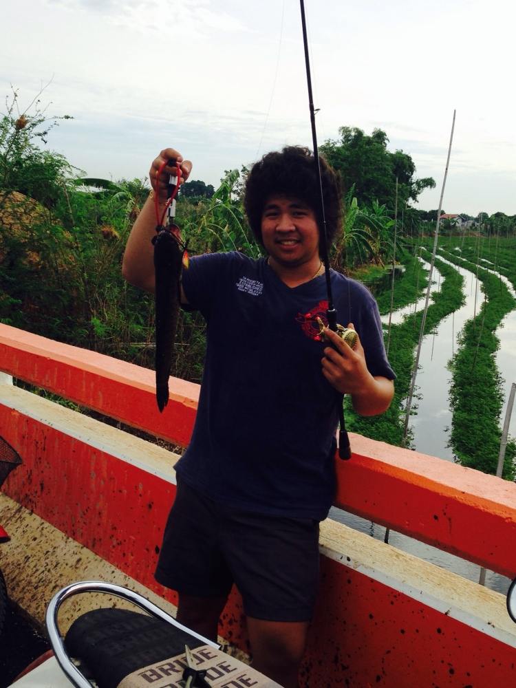 เช้านี้ ปลาช่อน หมาย บางแขม นครปฐม คับ