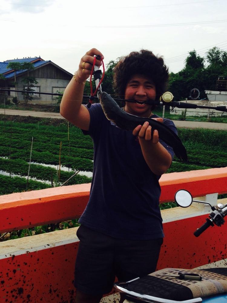 เช้านี้ ปลาช่อน หมาย บางแขม นครปฐม คับ
