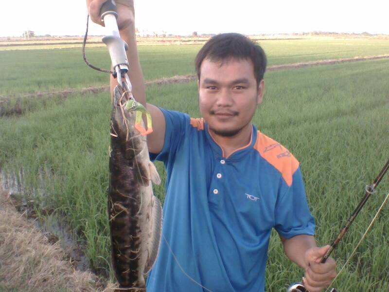 " ประมวลภาพ กลุ่มคนตีเหยื่อปลอม จังหวัดอ่างทอง "