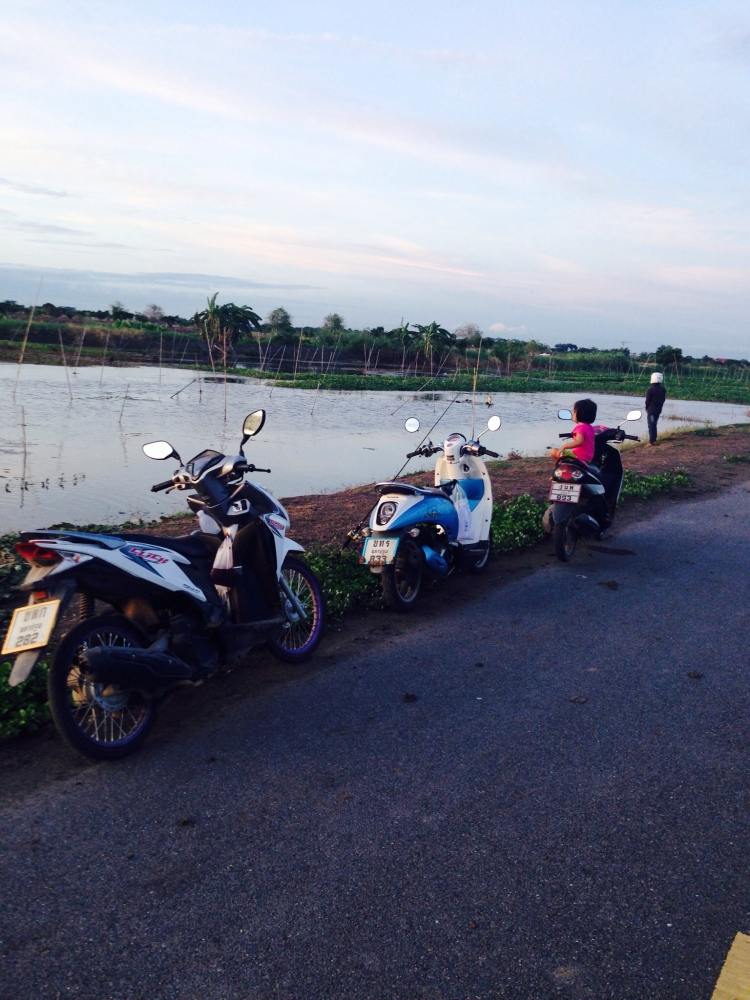 สดๆร้อนๆ กบ จอน หนองจอก อีกแล้ว เมื่อเย็นนี้เบย