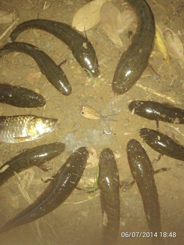 จัดหนักไปเลย
