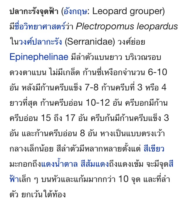 Record : เก๋า กุดสลาด