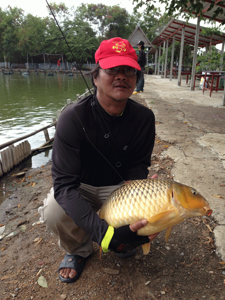 ผิดคิวที่ jj