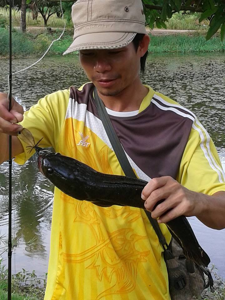 โดนทุกวัน