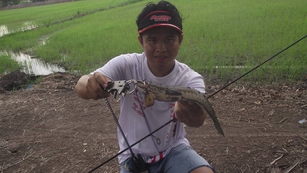 โดนทุกวัน