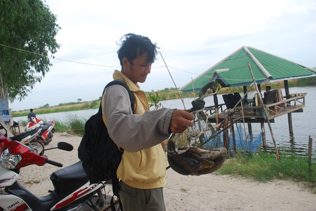บ่อตกปลาหนุ่มบางวัว (บ่อปลารวม) วันที่ 7,8 - 06 - 57