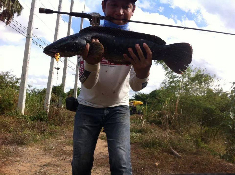 ส่งงาน วันละนิดวันละหน่อย