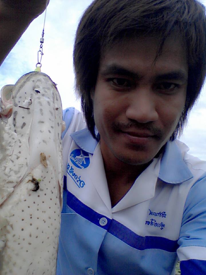 ส่งงาน วันละนิดวันละหน่อย