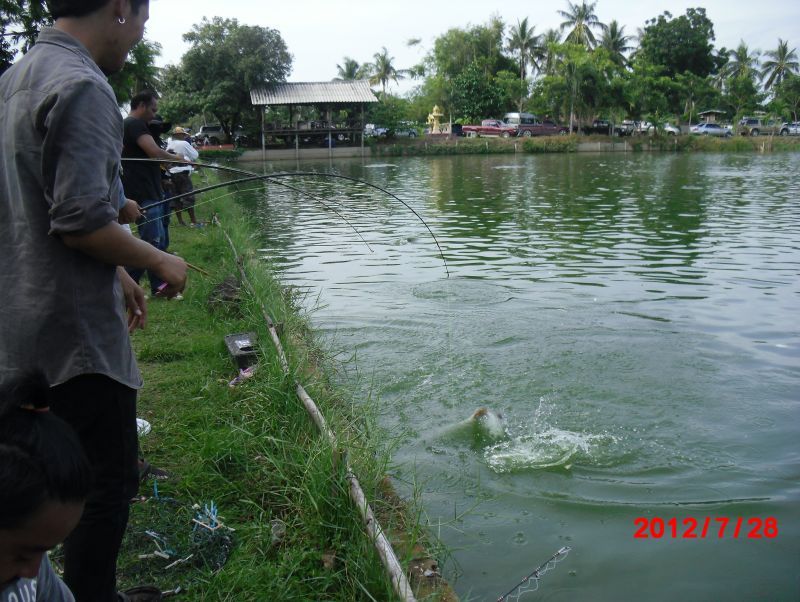 อาทิตย์นี้เจอกันเเม็ตซ์ 20,000 นะครับบ่อพรหมาสตร์ลพบุรี