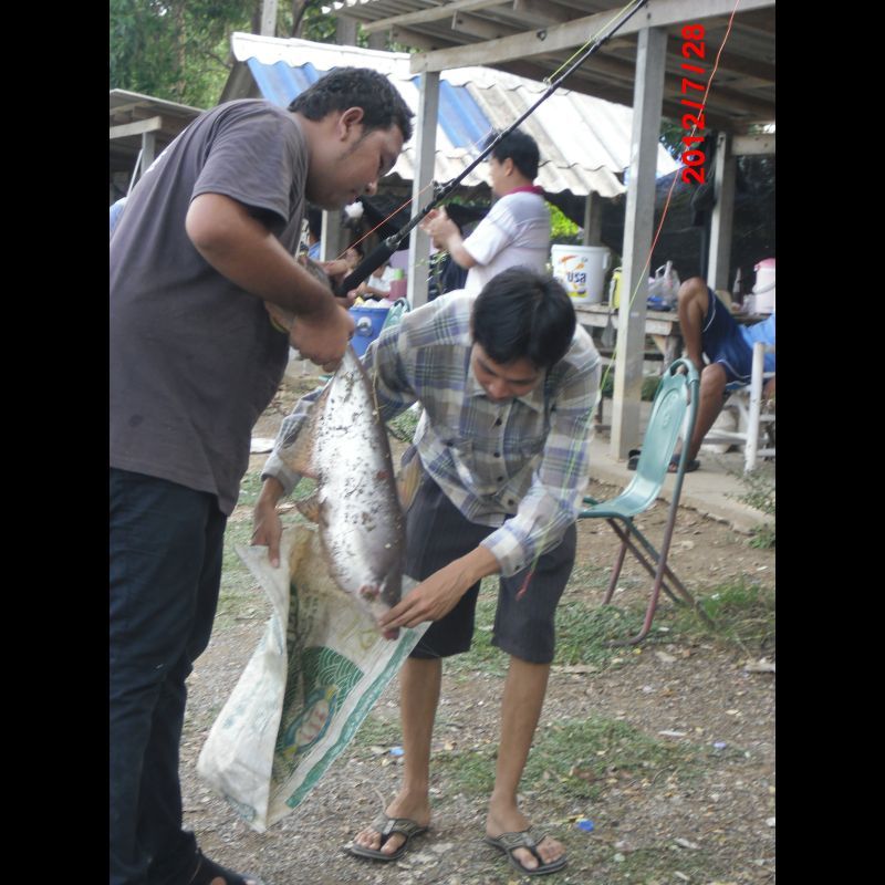 อาทิตย์นี้เจอกันเเม็ตซ์ 20,000 นะครับบ่อพรหมาสตร์ลพบุรี