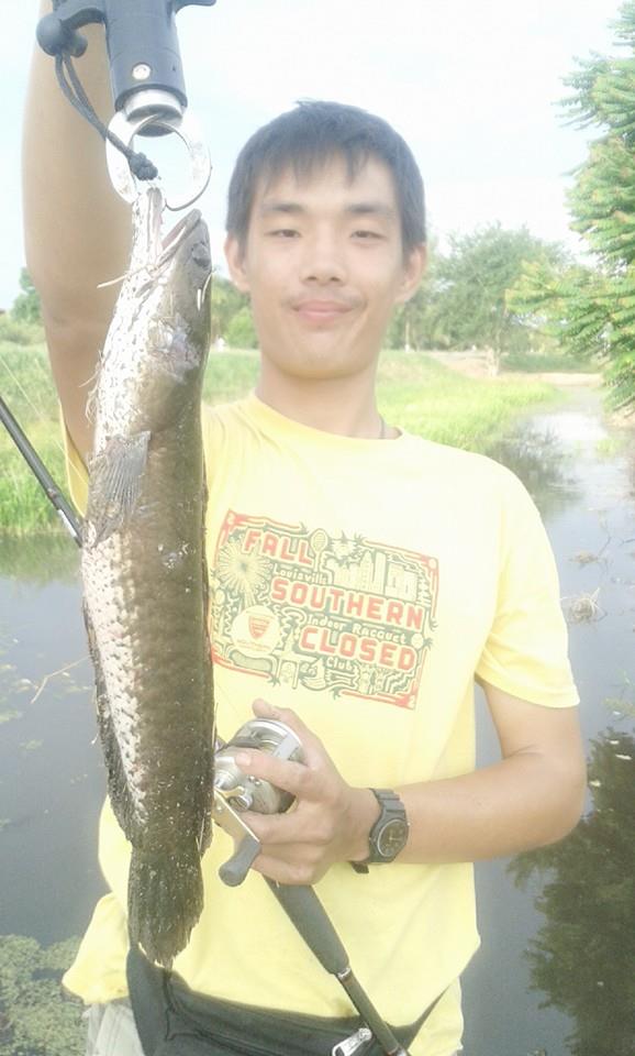 มีมาเรื่อยๆๆ หยดน้ำ"ตราเป็ด"